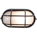 Nauticus Black Outdoor Wall Sconce - Outdoor Wall Sconce