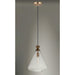 Abbott Weathered Oak / Antique Brass Single Pendant - Pendants