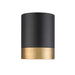 Algar Matte Black Modern Gold LED 6 Inch Flushmount Z-Lite 1006F6-MB-MGLD-LED | theLightShop