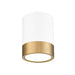 Algar Matte White Modern Gold LED 6 Inch Cylinder Flushmount Z-Lite 1006F6-MW-MGLD-LED | theLightShop