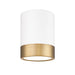 Algar Matte White Modern Gold LED 6 Inch Cylinder Flushmount Z-Lite 1006F6-MW-MGLD-LED | theLightShop