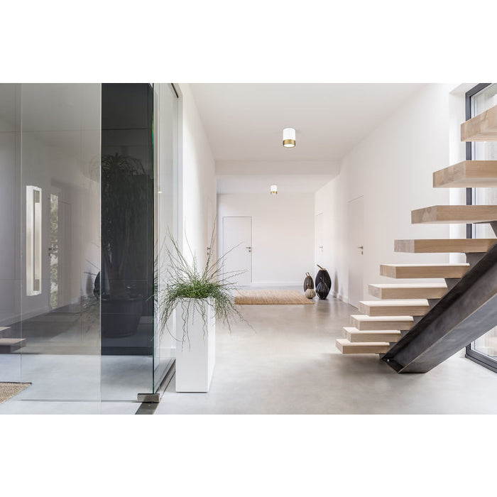 Algar Matte White Modern Gold LED 6 Inch Cylinder Flushmount Z-Lite 1006F6-MW-MGLD-LED | theLightShop