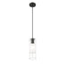 Alton Matte Black 1 Light Cord Pendant Z-Lite 824P-MB | theLightShop