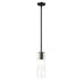 Alton Matte Black 1 Light Stem Pendant Z-Lite 824P-ROD-MB | theLightShop