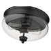 Amon Matte Black 2 Light Flushmount 722F2-MB | theLightShop
