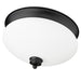 Amon Matte Black 2 Light Flushmount | theLightShop