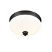 Amon Matte Black 2 Light Flushmount | theLightShop