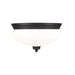 Amon Matte Black 2 Light Flushmount | theLightShop