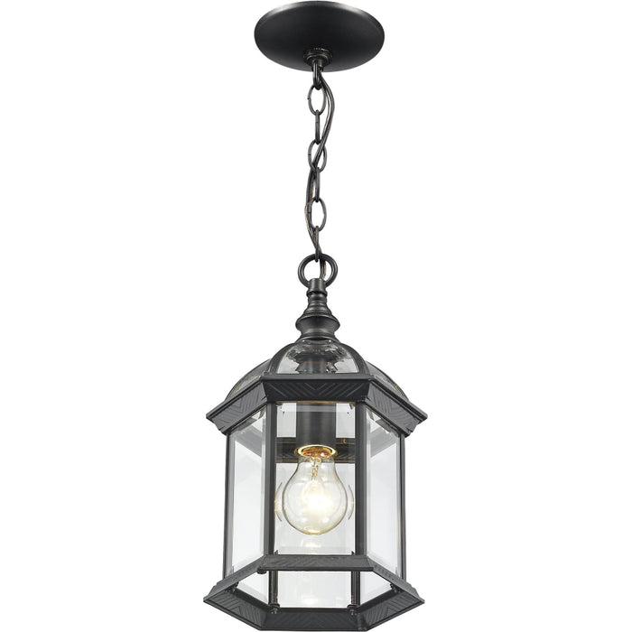 Annex Black Outdoor Chain Mount Ceiling Fixture - Outdoor Pendants