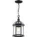 Annex Black Outdoor Chain Mount Ceiling Fixture | theLightShop