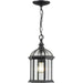 Annex Black Outdoor Chain Mount Ceiling Fixture - Outdoor Pendants