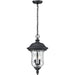 Armstrong Black Outdoor Chain Mount Ceiling Fixture - Outdoor Chain Mount Ceiling Fixture