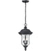 Armstrong Black Outdoor Chain Mount Ceiling Fixture | theLightShop