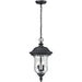 Armstrong Black Outdoor Chain Mount Ceiling Fixture | theLightShop
