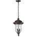 Armstrong Bronze Outdoor Chain Mount Ceiling Fixture | theLightShop