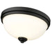 Ashton Matte Black 2 Light Flushmount - Flushmounts