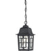 Banyon Textured Black Outdoor Pendant - Outdoor Pendant