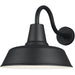Barn Light Black LED Outdoor Wall Lantern - Outdoor Wall Sconce