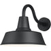 Barn Light Black LED Outdoor Wall Lantern - Outdoor Wall Sconce