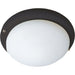 Basic-Max Oil Rubbed Bronze Ceiling Fan Light Kit - Ceiling Fan Light Kit