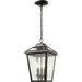 Bayland Oil Rubbed Bronze Outdoor Chain Mount Ceiling Fixture | theLightShop