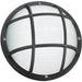 Bayside Black LED One Light Outdoor Wall Ceiling Mount - Outdoor Wall Sconce