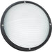Bayside Black LED One Light Outdoor Wall Ceiling Mount - Outdoor Wall Sconce