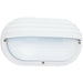 Bayside White LED Outdoor Wall Lantern - Outdoor Wall Sconce