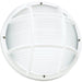 Bayside White One Light Outdoor Wall Ceiling Mount - Outdoor Wall Sconce