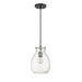 Bella Matte Black Brushed Nickel 1 Light Mini-Pendant - Mini-Pendants