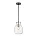 Bella Matte Black Brushed Nickel 1 Light Mini-Pendant | theLightShop