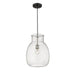 Bella Matte Black Brushed Nickel 1 Light Pendant - Pendants