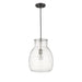 Bella Matte Black Brushed Nickel 1 Light Pendant - Pendants