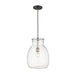 Bella Matte Black Brushed Nickel 1 Light Pendant | theLightShop