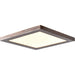 Boxer Bronze LED FlushMount - Flushmounts