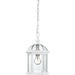 Boxwood White Outdoor Pendant - Outdoor Pendant