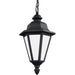 Brentwood Black LED Outdoor Pendant - Outdoor Pendant