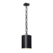 Brian Patrick Flynn for Crystorama Alston 1 Light Matte Black Mini Chandelier - Chandeliers