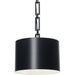 Brian Patrick Flynn for Crystorama Alston 1 Light Matte Black White Mini Chandelier - Chandeliers