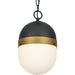 Brian Patrick Flynn for Crystorama Capsule Outdoor 1 Light Outdoor Matte Black Textured Gold Pendant - Outdoor Pendant