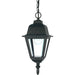 Briton Textured Black Outdoor Pendant - Outdoor Pendant