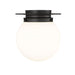 Calhoun Matte Black 1 Light 9 Inch Flushmount Z-Lite 7505F9-MB | theLightShop