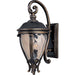 Camden VX Golden Bronze Outdoor Wall Mount - Outdoor Wall Mount