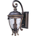 Camden VX Golden Bronze Outdoor Wall Mount - Outdoor Wall Mount
