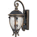 Camden VX Golden Bronze Outdoor Wall Mount - Outdoor Wall Mount