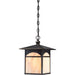 Canyon Umber Bronze Outdoor Pendant - Outdoor Pendant