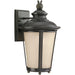Cape May Burled Iron Outdoor Wall Lantern - Outdoor Wall Sconce