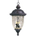 Carriage House DC Oriental Bronze Outdoor Hanging Lantern - Outdoor Hanging Lantern