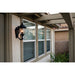 Carriage House DC Oriental Bronze Outdoor Wall Mount - Outdoor Wall Mount