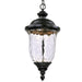 Carriage House LED Oriental Bronze LED Outdoor Hanging Lantern - Outdoor Hanging Lantern